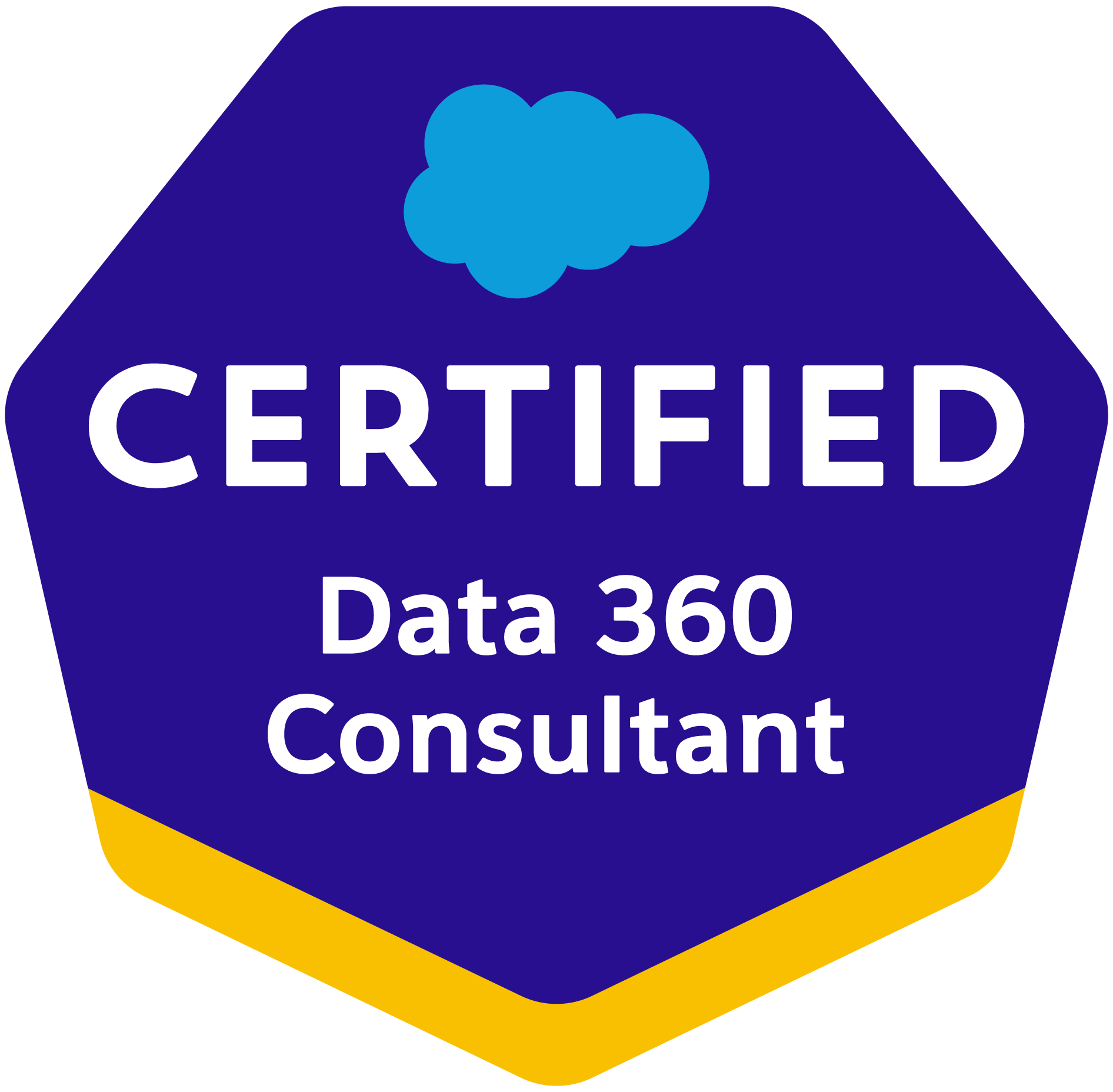 Data Cloud Consultant